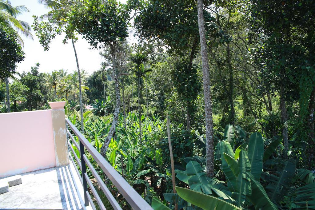 Periyar Villa Home Stay - 提喀迪 外观 照片